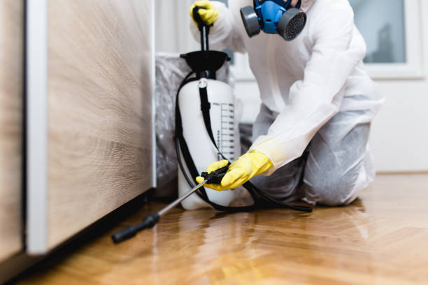 Best Pest Control Near Me  in Gifford, FL