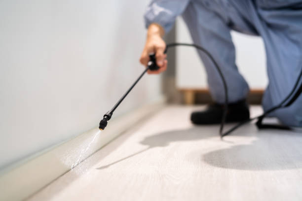Best Pest Removal Services  in Gifford, FL