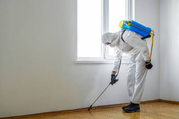 Best Affordable Pest Control Services  in Gifford, FL
