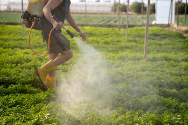 Pest Control Cost in Gifford, FL