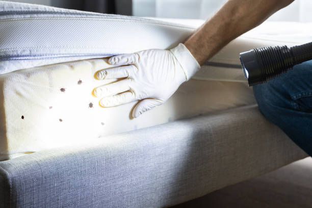 Best Pest Removal Services  in Gifford, FL