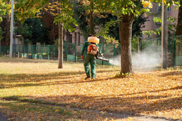 Best Best Pest Control Companies  in Gifford, FL