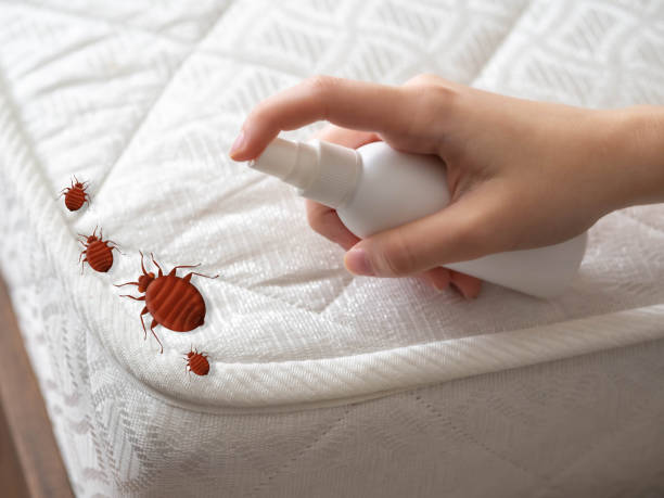 Best Commercial Pest Control Services  in Gifford, FL