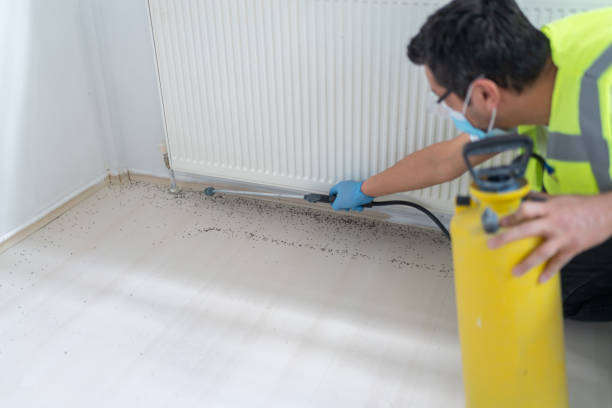 Best Affordable Exterminators  in Gifford, FL